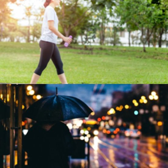 expats in netherlands